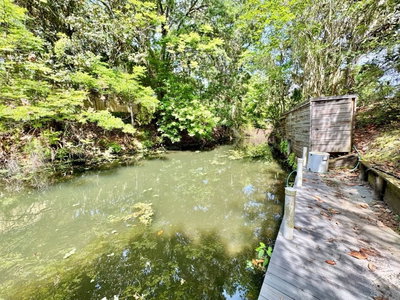 30391 97TH Place, Salt Springs, FL, 32134 — photo 2