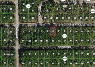 546 BIMINI Drive, Dunnellon, FL, 34434 — photo 2