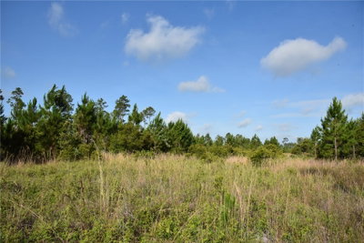 22370 130TH Avenue, Fort Mc Coy, FL, 32134 — photo 2