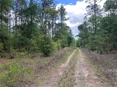 TBD 159TH Avenue, Ocala, FL, 34481 — photo 2