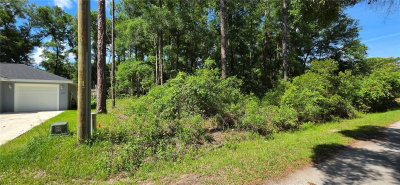Lot 10 61 Lane, Ocala, FL, 34482 — photo 2