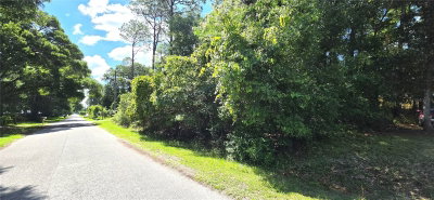 TBD Lot 11 61ST Lane, Ocala, FL, 34482 — photo 2