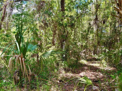 OLD CRYSTAL RIVER Road, Brooksville, FL, 34601 — photo 2