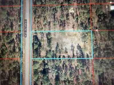 128TH Avenue, Dunnellon, FL, 34431 — photo 2
