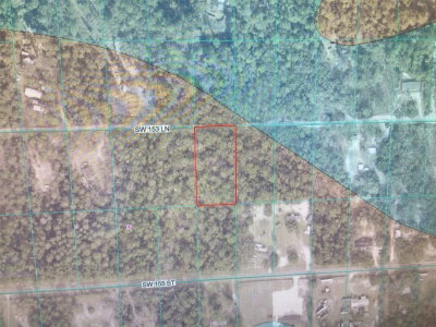 153 Lane, Dunnellon, FL, 34432 — photo 2