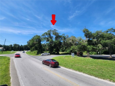 TBD 97TH STREET Road, Anthony, FL, 32617 — photo 2