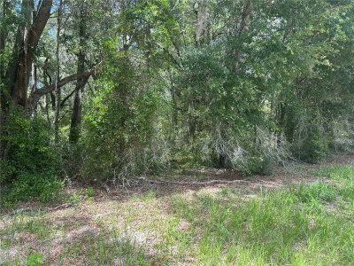 111 Lane, Dunnellon, FL, 34432 — photo 2