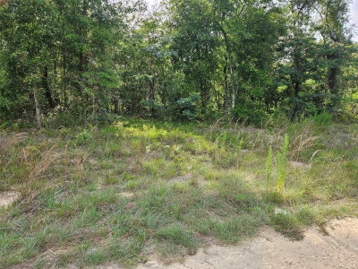 TBD 153RD Avenue, Williston, FL, 32696 — photo 2