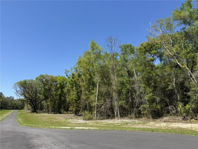 Irvine Acres #5 HWY 318, Reddick, FL, 32686 — photo 2