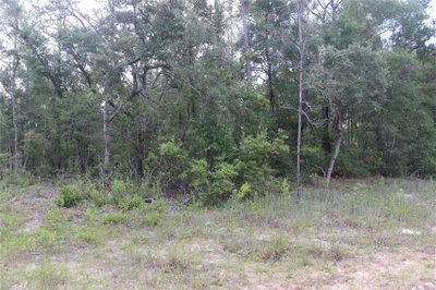 653 VERCELLI Lane, Dunnellon, FL, 34434 — photo 2