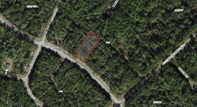 8755 ALAMEDA Drive, Dunnellon, FL, 34434 — photo 2