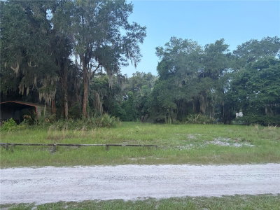 161 LITTLE ORANGE LAKE Drive, Hawthorne, FL, 32640 — photo 2