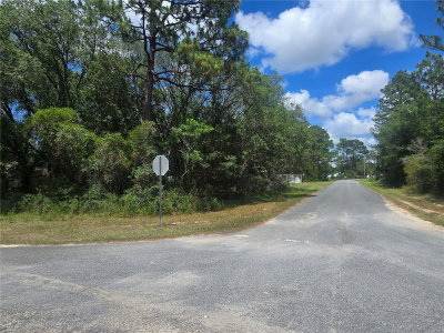 8467 EMPIRE Avenue, Citrus Springs, FL, 34433 — photo 2