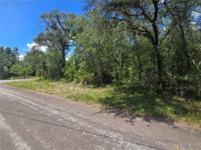 8365 IBSEN Drive, Citrus Springs, FL, 34433 — photo 2