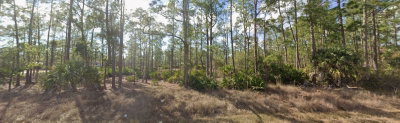 1303 GLENN Avenue, Lehigh Acres, FL, 33972 — photo 2