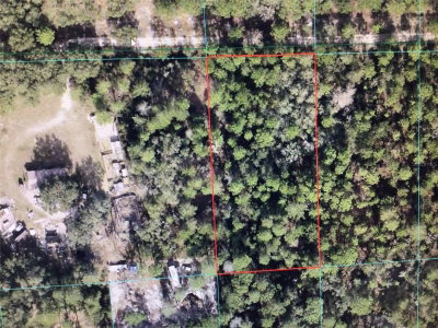 158 Lane, Dunnellon, FL, 34432 — photo 2
