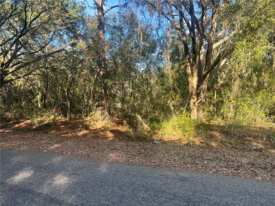 GUAVA TERRACE, Ocklawaha, FL, 32179 — photo 2