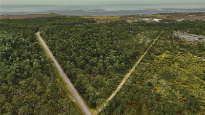 LOTS 10,11,12,13 ADAMS BEACH ROAD, Perry, FL, 32348 — photo 2