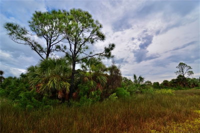 00 LOTS 18,19 ADAMS BEACH ROAD, Perry, FL, 32348 — photo 2