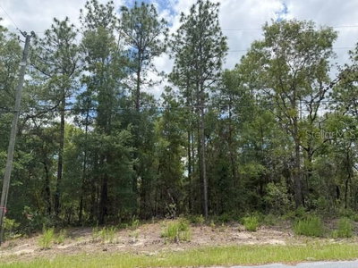 1982 ROSEBORO Drive, Dunnellon, FL, 34434 — photo 2