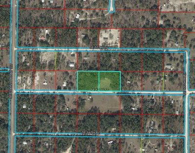 11751 57TH Street, Morriston, FL, 32668 — photo 2