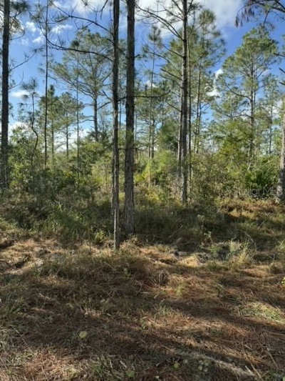 TBD, Frostproof, FL, 33843 — photo 2