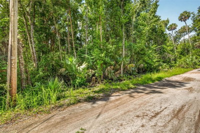 4626 FLAMBEAU Loop, Homosassa, FL, 34448 — photo 2
