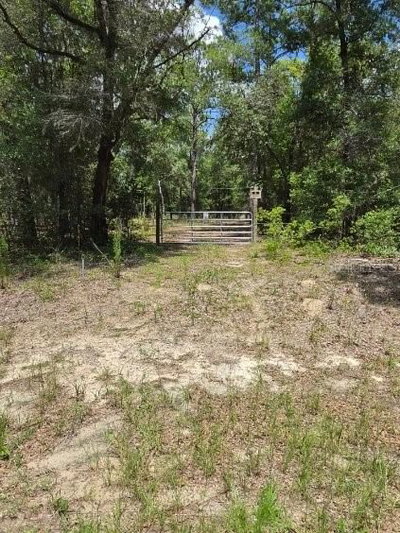 8355 ORTON Way, Dunnellon, FL, 34434 — photo 2