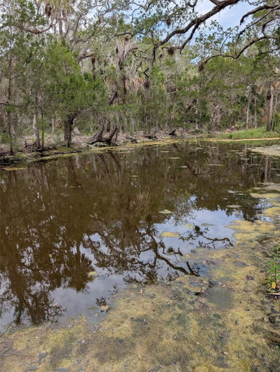 SE BEE TREE RD, Gulf Hammock, FL, 32639 — photo 2