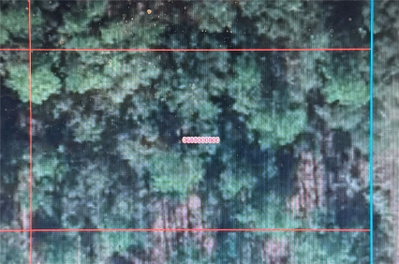SE 134TH TERRACE, Dunnellon, FL, 34432 — photo 2
