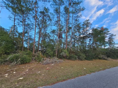 33RD Terrace, Ocala, FL, 34473 — photo 2