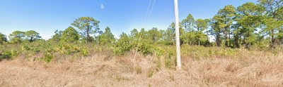 933 FERN Street, Lehigh Acres, FL, 33974 — photo 2