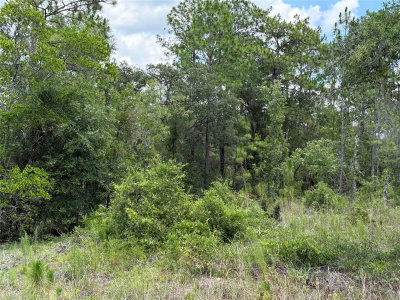 00 65TH Terrace, Williston, FL, 32696 — photo 2