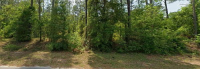 00 FALCON Avenue, Dunnellon, FL, 34431 — photo 2