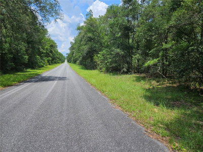 1139 KINGSDALE ST., Dunnellon, FL, 34434 — photo 2