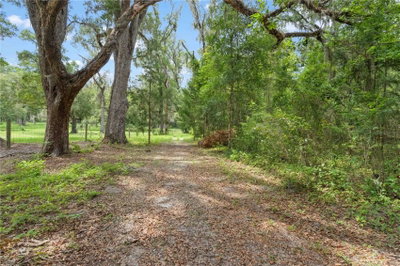 151 164TH Avenue, Williston, FL, 32696 — photo 2