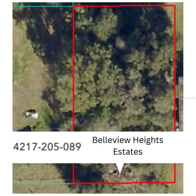 141ST Place, Summerfield, FL, 34491 — photo 2