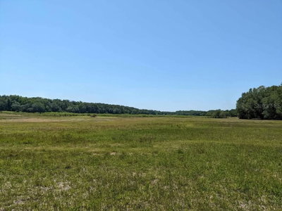 00 60TH Avenue, Chiefland, FL, 32626 — photo 2