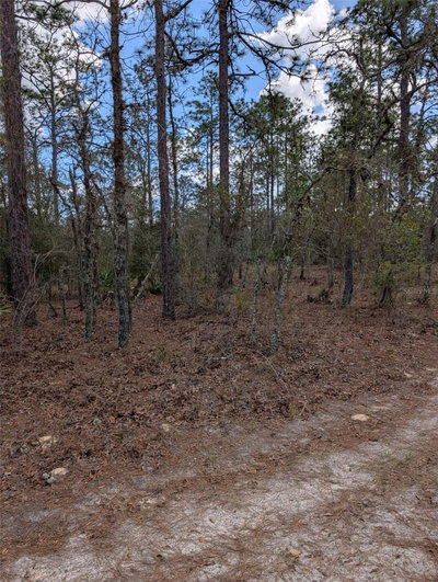 90TH Street, Dunnellon, FL, 34432 — photo 2