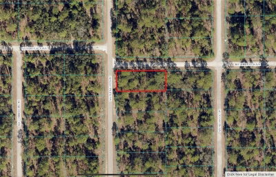 00 BUENA VISTA Road, Dunnellon, FL, 34431 — photo 2