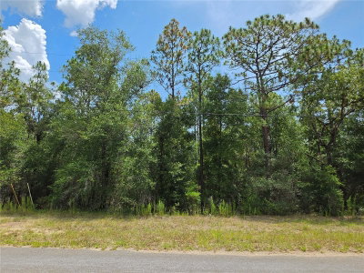 8425 FORESOME Way, Dunnellon, FL, 34434 — photo 2