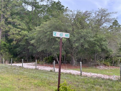 0000 60TH Avenue, Morriston, FL, 32668 — photo 2