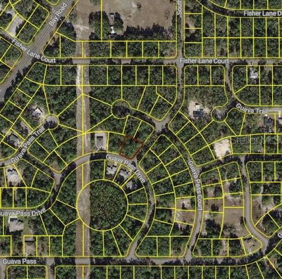 BLK 1261 LOT 16 FISHER LANE PLACE, Ocklawaha, FL, 32179 — photo 2