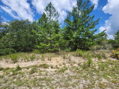 00 GARDENIA Court, Dunnellon, FL, 34432 — photo 2