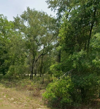 00 HIGHVIEW Avenue, Dunnellon, FL, 34431 — photo 2