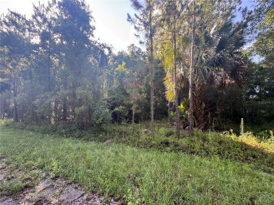 TBD SEQUOIA LOOP Drive, Ocklawaha, FL, 32179 — photo 2