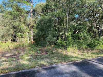 00 BREEZY POINT Drive, Dunnellon, FL, 34431 — photo 2