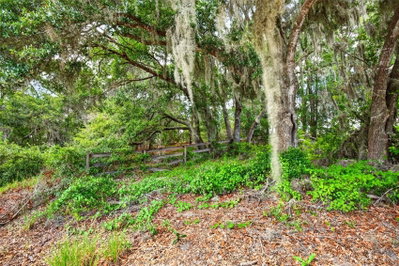 MALAUKA Loop, Ocklawaha, FL, 32179 — photo 2