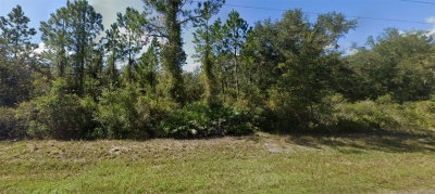 64TH Avenue, Citra, FL, 32113 — photo 2