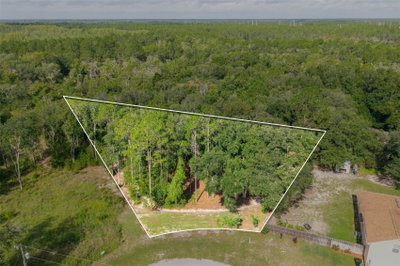 40 DEER TRAIL Circle, Bronson, FL, 32621 — photo 2